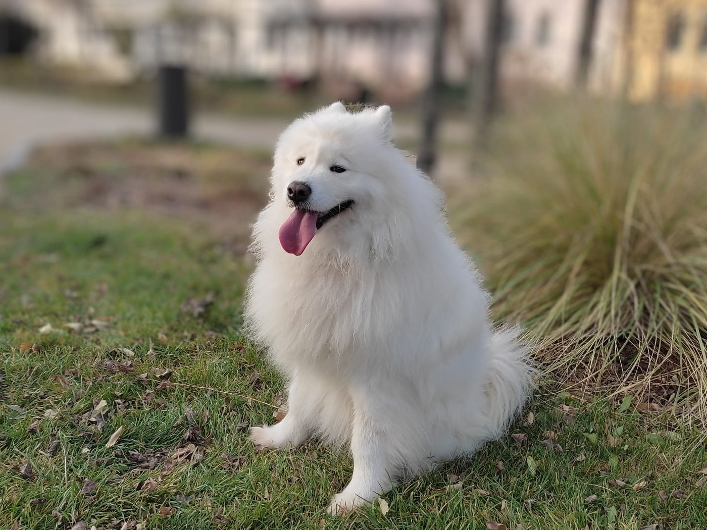 Z Bojkovského podhájí