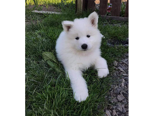 Z Podhůří Orlických hor