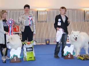 Juniorhandling Mlad Kategorie