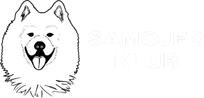 Samojed Klub