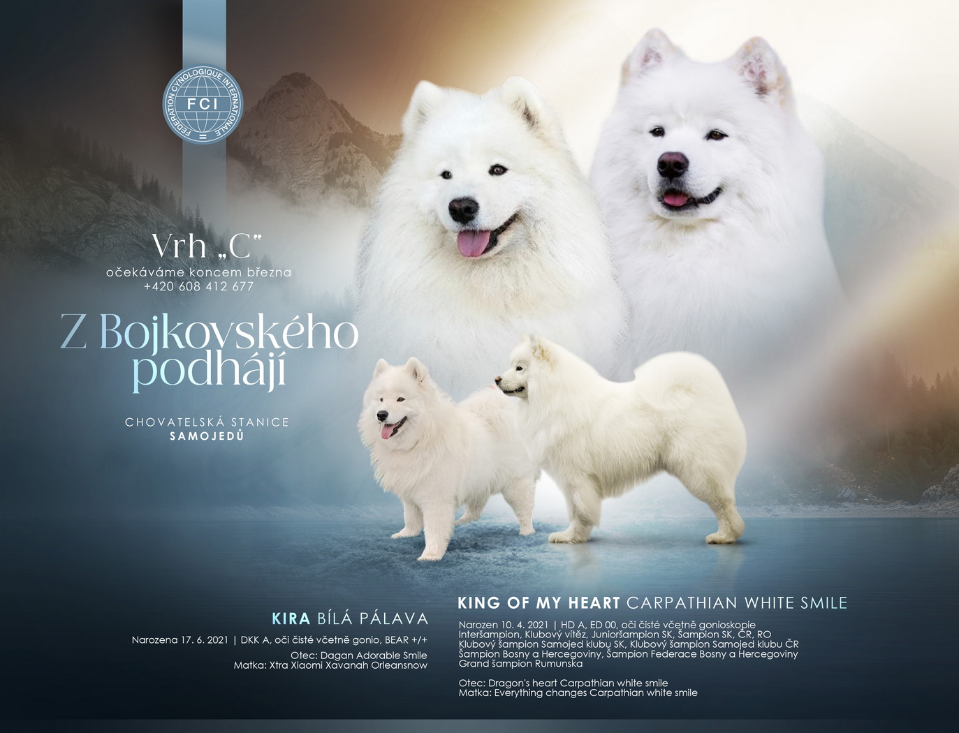 z bojkovskeho podhaji c