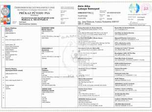 Airin Aika Lebaya Samoyed Pp 1