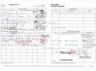 Airin Aika Lebaya Samoyed Pp 2