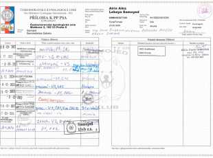 Airin Aika Lebaya Samoyed Pp 3