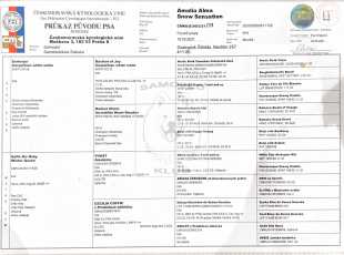 Amalia Alma Snow Sensation Pp 1