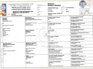 Baltazar Vlocka Z Beskyd Pp 1