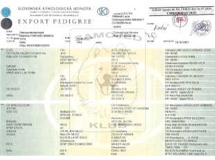 Blarthon Fantasy Bianca Pp 1