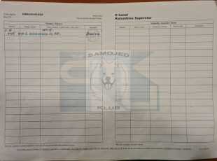 C Hanel Kolombina Superstar Pp 3