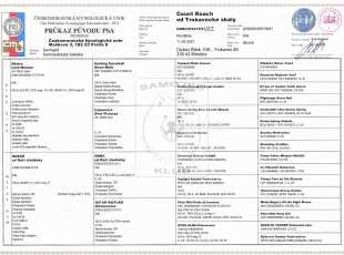 Count Roach Od Trokavecke Skaly Pp 1