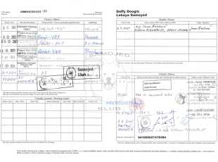 Daffy Doogie Lebaya Samoyed Pp 2