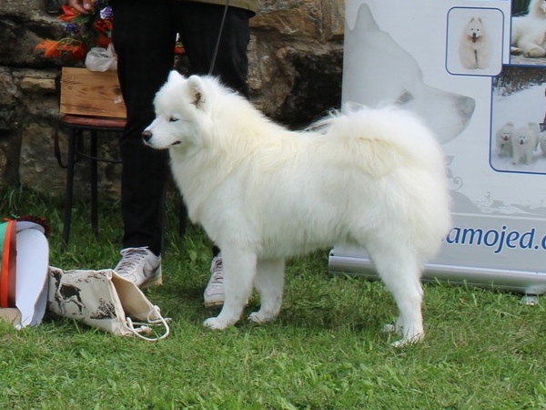 Darling Bonnie Winter Queen