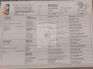 Darling Bonnie Winter Queen Pp 1