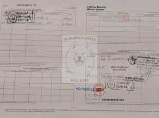 Darling Bonnie Winter Queen Pp 2