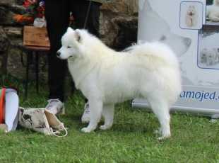 Darling Bonnie Winter Queen 1