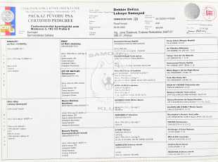 Debbie Delisa Lebaya Samoyed Pp 1