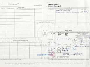 Debbie Delisa Lebaya Samoyed Pp 2