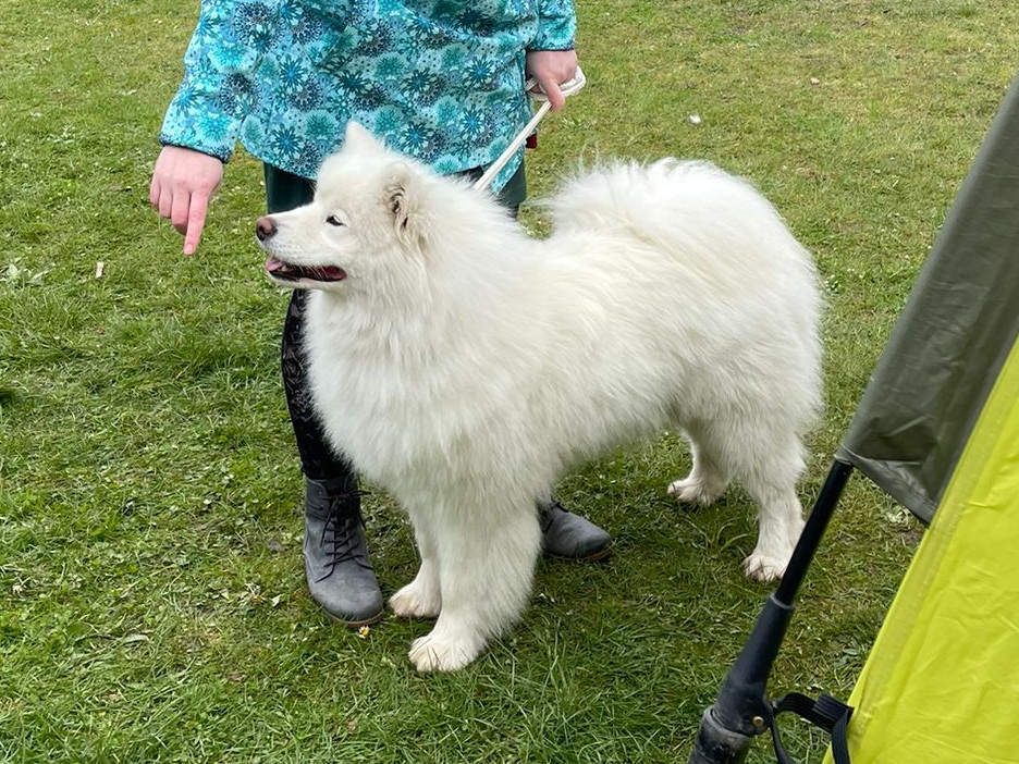 Debbie od Trokavecké skály