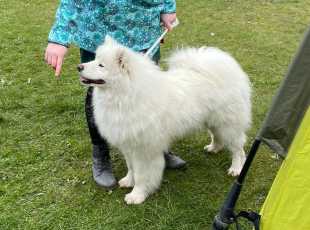 Debbie Od Trokavecke Skaly 1