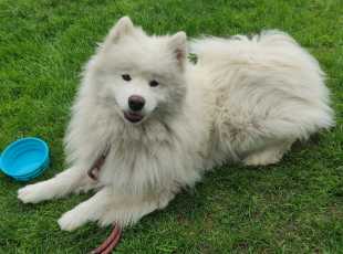 Debbie Od Trokavecke Skaly 2