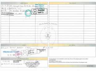 Estrellitas Elysia La Torre Roja Pp 2