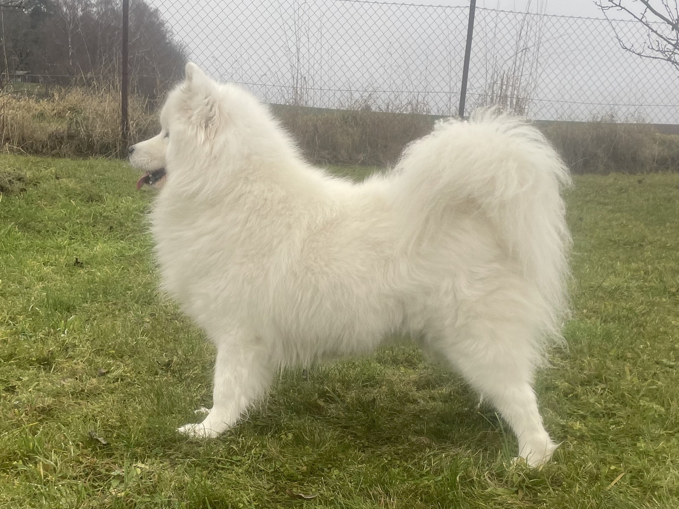 Fata Morgana Miracle of the Snow Desert