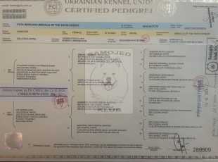 Fata Morgana Miracle Of The Snow Desert Pp 1