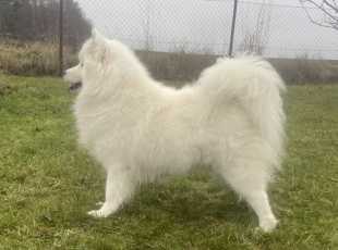 Fata Morgana Miracle Of The Snow Desert 1