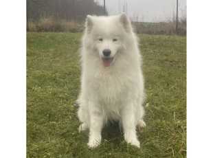 Fata Morgana Miracle Of The Snow Desert 2