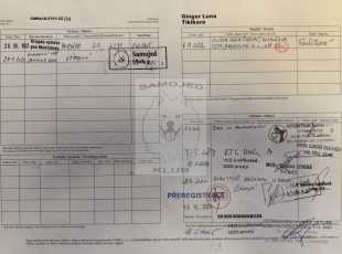 Ginger Luna Tikibara Pp 2