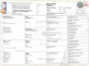 Golden Elaki Tikibara Pp 1