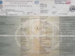 His Majesty Amaguk Yoshi And Us Pp 1