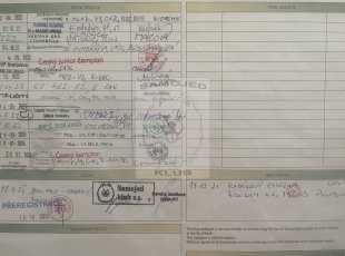 His Majesty Amaguk Yoshi And Us Pp 2