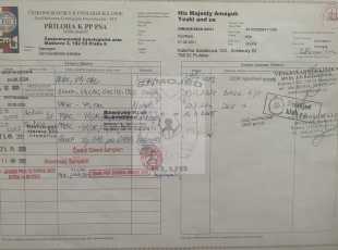 His Majesty Amaguk Yoshi And Us Pp 3