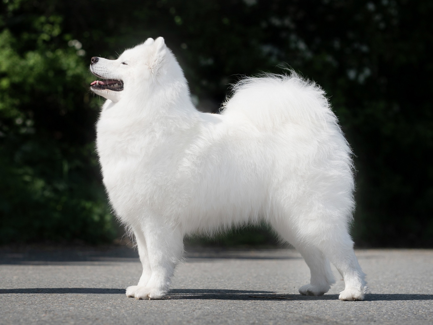 Matyella Magic Hermiona