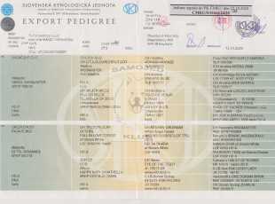 Matyella Magic Hermiona Pp 1