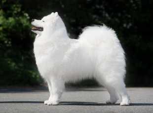 Matyella Magic Hermiona 1