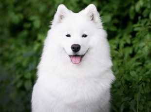 Matyella Magic Hermiona 2