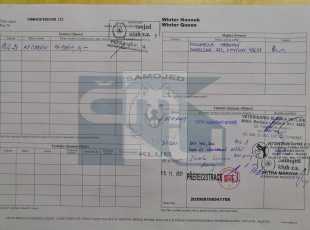 Winter Nanook Winter Queen Pp 2