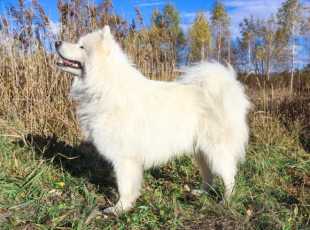 Winter Nanook Winter Queen 1