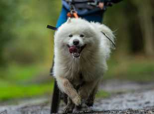 Winter Nanook Winter Queen 3